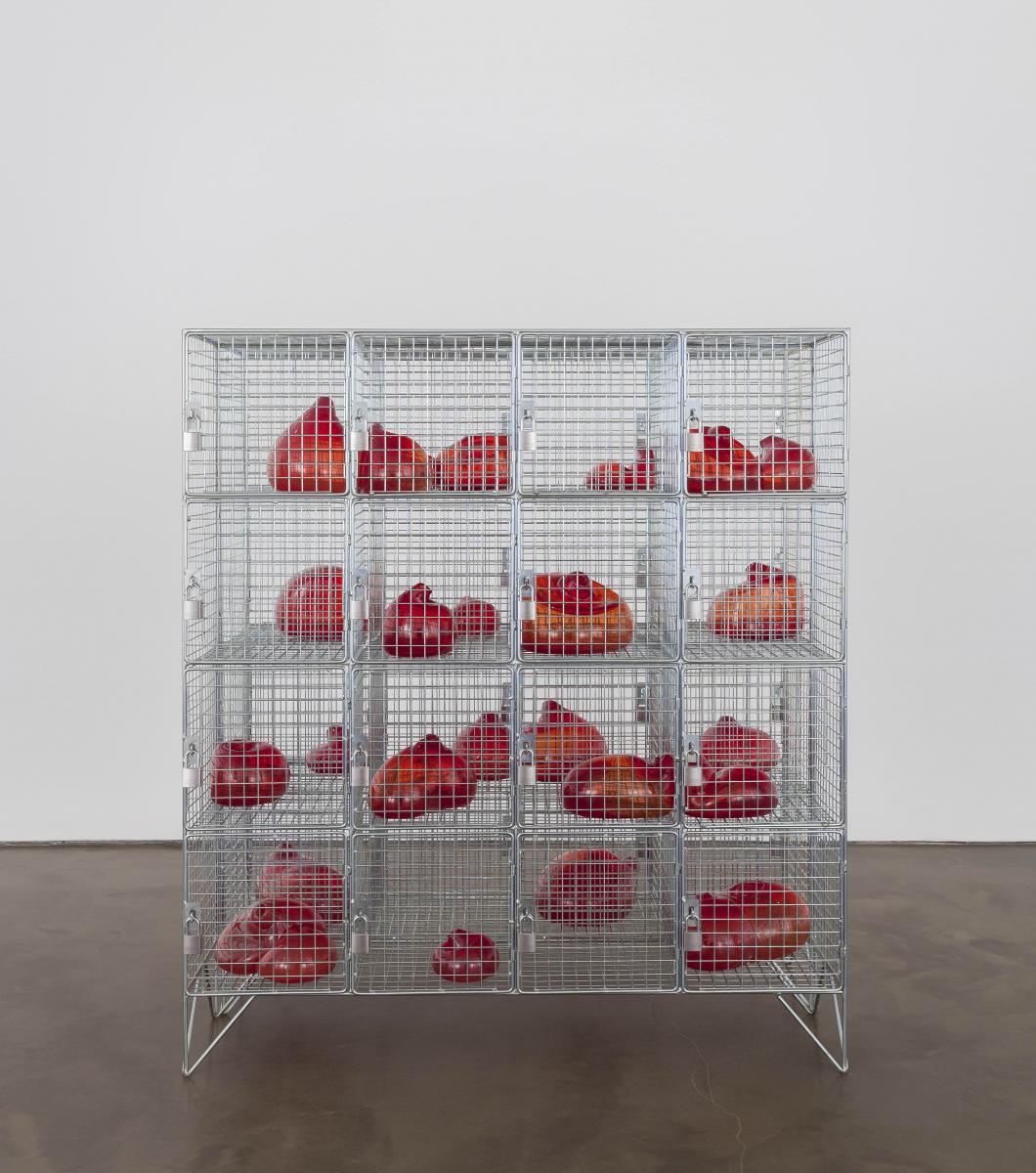 Mona Hatoum, Cells, 2014