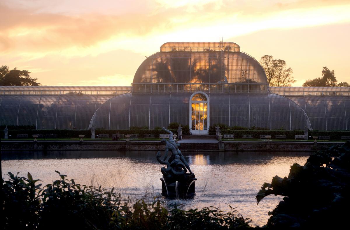 Palm House at sunset. Credit RBG Kew.jpg